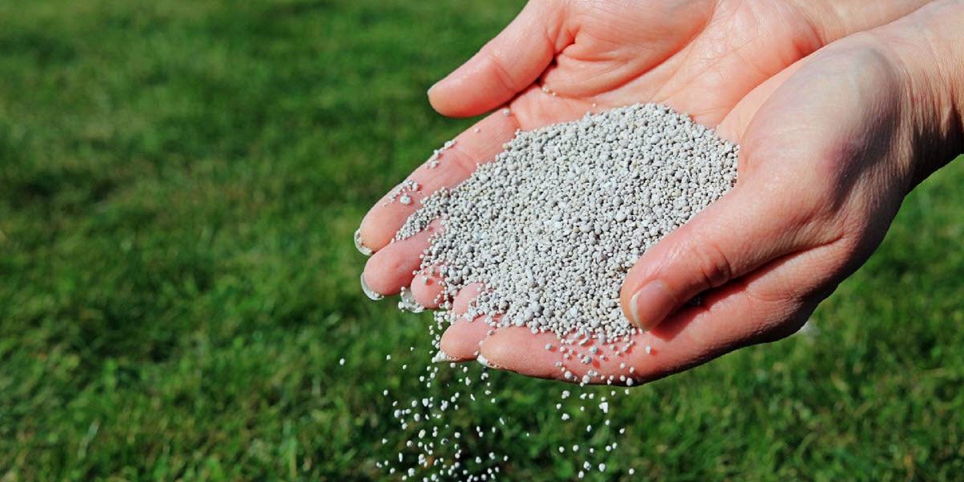 Spread fertilizer without a spreader
