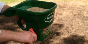 Can You Use a Seed Spreader To Spread Salt?