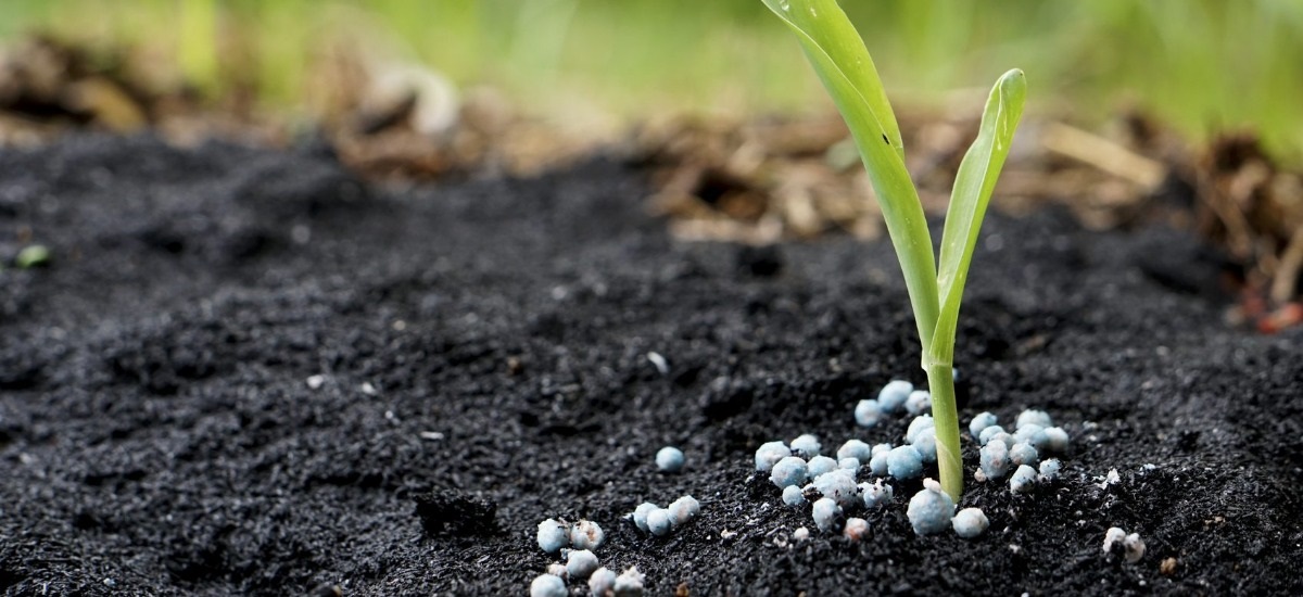 Granular fertilizers